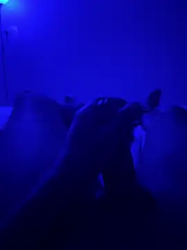 bigbola304 online show from November 12, 5:13 am