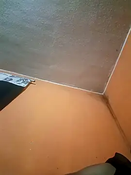 juqnjopach online show from April 13, 10:05 am