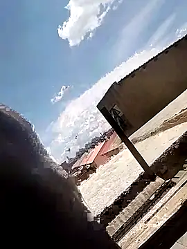 machinery98ron online show from December 20, 10:33 am