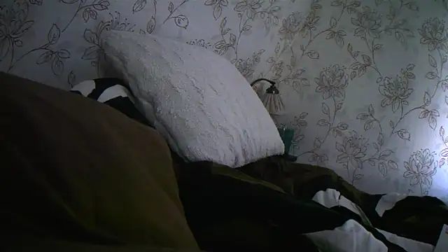 Snapshot of Teemu chatting on September 27, 2:37 pm Teemu online show from September 27, 2:37 pm