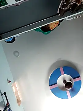 wildfun  online show from October 23, 7:01 am