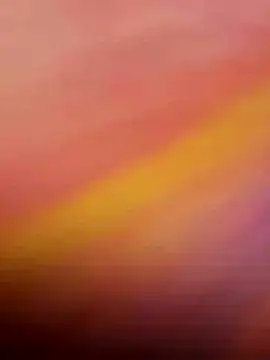 wildfun  online show from November 4, 7:09 am