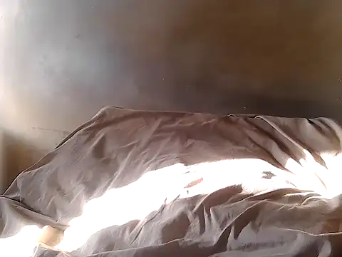 fitbuddy1 online show from February 10, 11:37 am