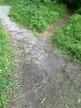 Buroo97 online show from July 23, 8:44 am