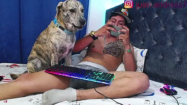 Stone grey1  online show from November 22, 10:37 am