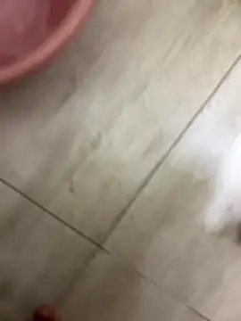 fernandoxt288 online show from January 9, 4:18 am