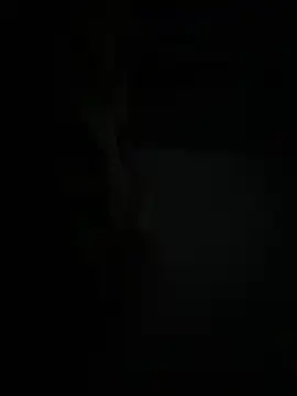 Wildbeastt online show from December 21, 10:29 pm