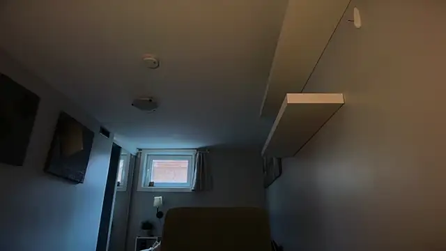 lustylyndon online show from March 20, 4:44 pm