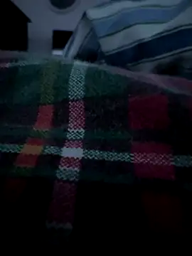 20cmdicazzo online show from November 4, 12:11 am