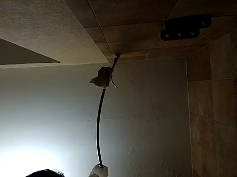 Shemalefucker79 online show from April 8, 11:20 am