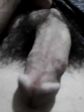 userbrasil12345 online show from July 4, 4:15 am