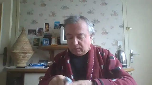 gegevincent online show from February 20, 1:35 pm