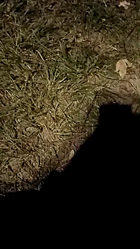 Snapshot of jvdzj-0_ chatting on October 18, 10:26 pm jvdzj-0  online show from October 18, 10:26 pm