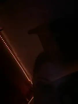 dice4422 online show from July 29, 4:22 am