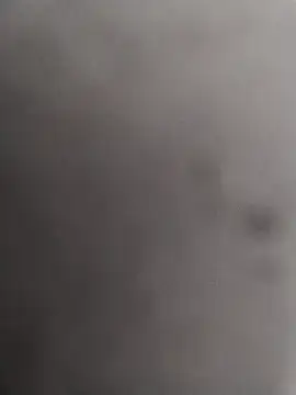 12dery online show from November 10, 11:37 am