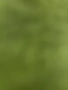 youyou933 online show from September 12, 5:57 pm