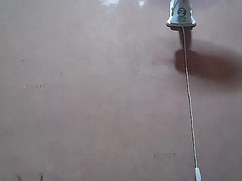 Kyoshi 19 online show from November 12, 2:23 pm