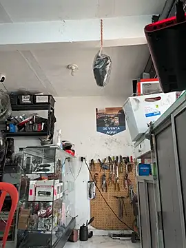 Terra-22cm online show from October 16, 4:37 pm