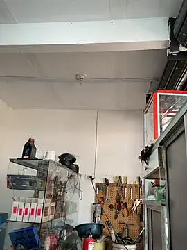 Terra-22cm online show from March 1, 2:39 pm