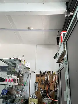 Terra-22cm online show from April 7, 5:02 pm