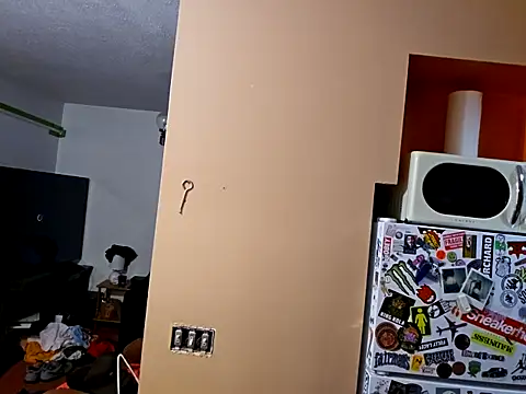 sloppytopkins online show from November 14, 7:10 am