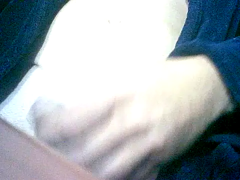 sacptjock83 online show from December 4, 2:07 am