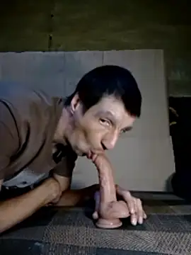 N i k o l a u online show from February 25, 1:45 pm