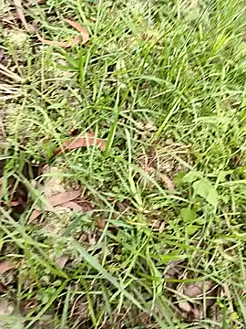 hotboy43339 online show from March 31, 11:45 am