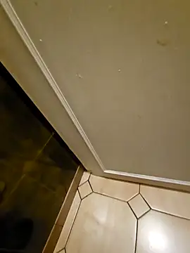 Stingles online show from March 24, 4:06 am