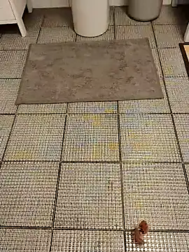 Baldassarre1990 online show from October 25, 11:17 pm