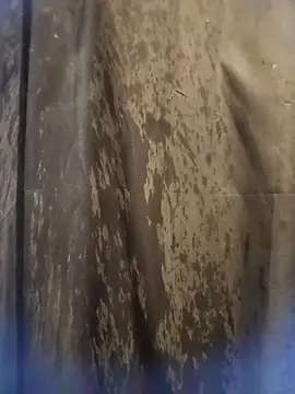 Snapshot of andreustoreto chatting on October 28, 12:29 pm andreustoreto online show from October 28, 12:29 pm