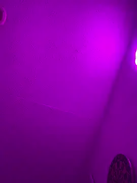 Snapshot of NanetX chatting on October 24, 1:29 am NanetX online show from October 24, 1:29 am