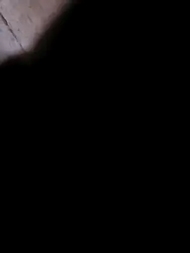 princexdcs online show from February 6, 4:09 am