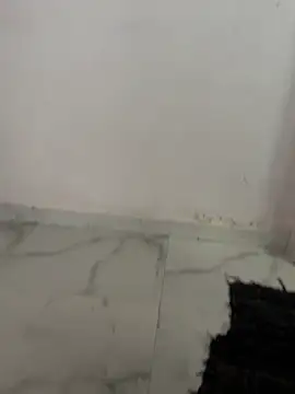 NoddingScorpion online show from January 7, 9:14 am