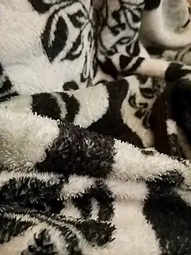 TinnyAircraft8270 online show from February 26, 9:49 pm