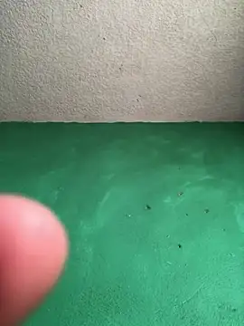 carlo20n online show from October 14, 4:25 pm