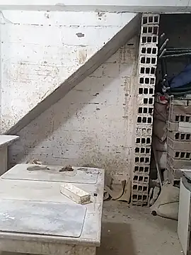 hoteder online show from September 24, 2:37 pm