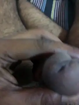 HOT-SHADEV80 online show from September 22, 9:31 am