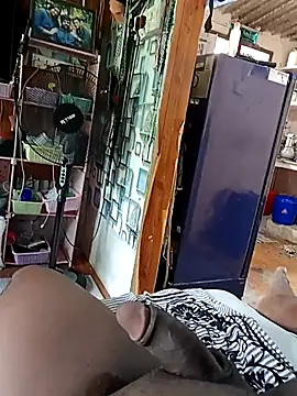 WholeAltimeter25 online show from November 13, 5:23 am