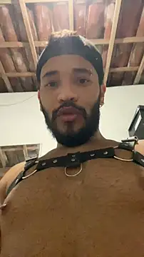 spiderfindom online show from November 4, 5:30 am