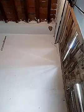 PunjabiSardarBull online show from March 22, 5:01 am