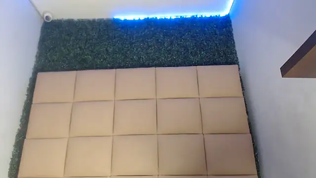 bull cam online show from September 12, 8:20 pm