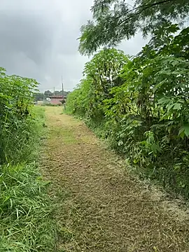 magraocam online show from March 19, 2:20 pm