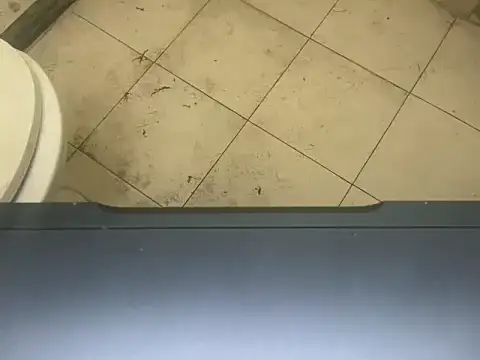 LustyDuoSecrets online show from November 3, 4:31 pm