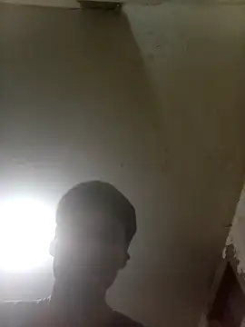 Bebicho14 online show from November 19, 3:50 am