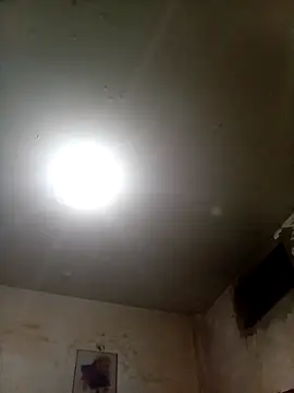 Bebicho14 online show from October 22, 6:06 am