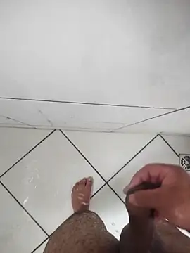 Novin23cms online show from December 2, 2:09 pm