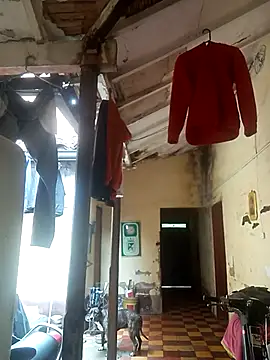 hairy mannn online show from February 15, 2:14 pm