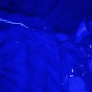 johnboones10 online show from March 4, 9:16 am