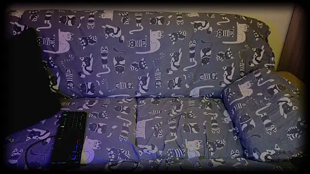 SparkyFerret online show from June 20, 10:37 pm